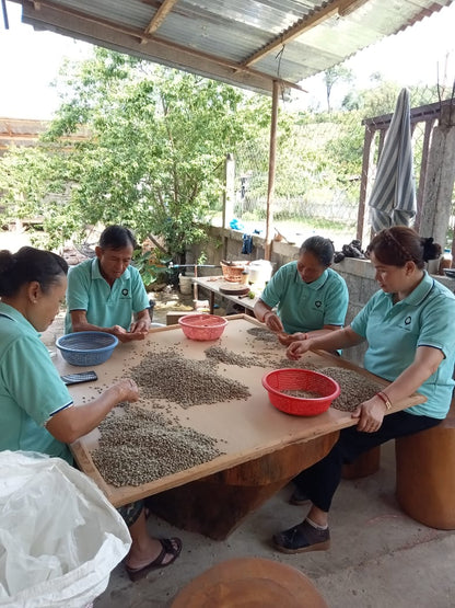 LAO SAOLA COFFEE BLEND - ROASTED ARABICA WHOLE BEAN